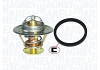 Thermostat, coolant