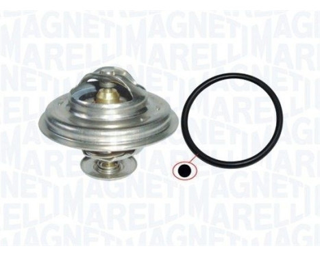 Thermostat, coolant