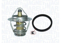 Thermostat, coolant