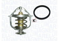 Thermostat, coolant