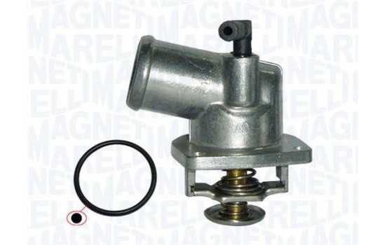 Thermostat, coolant