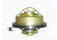 Thermostat, coolant