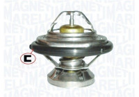 Thermostat, coolant