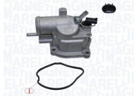 Thermostat, coolant