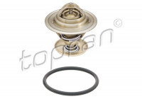 Thermostat, coolant