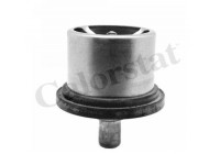 Thermostat, coolant