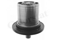 Thermostat, coolant