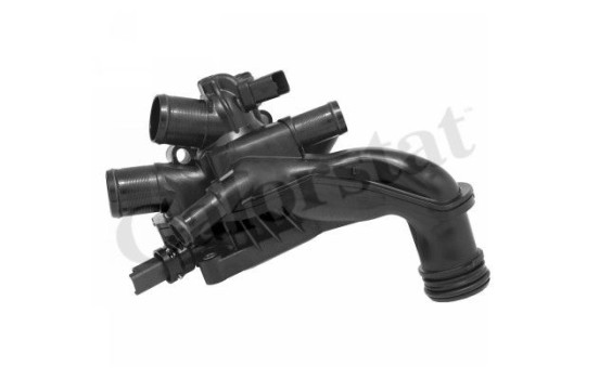 Thermostat, coolant