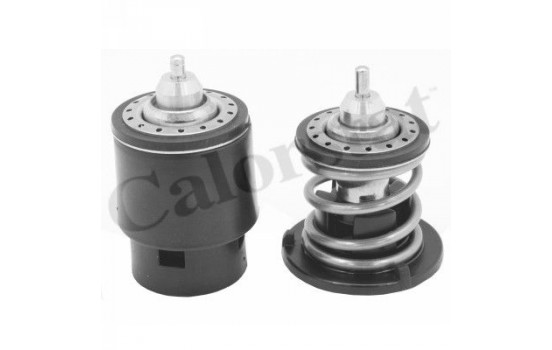 Thermostat, coolant