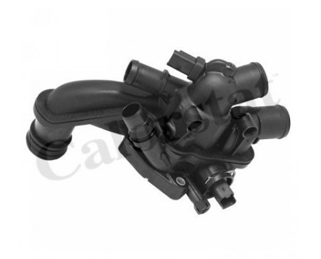 Thermostat, coolant