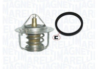 Thermostat, coolant