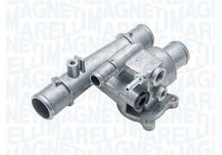 Thermostat, coolant