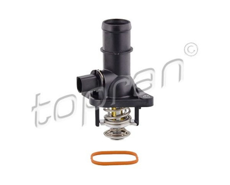 Thermostat, coolant