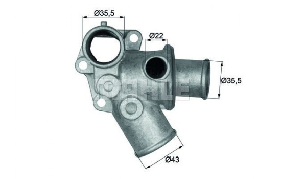 Thermostat, coolant