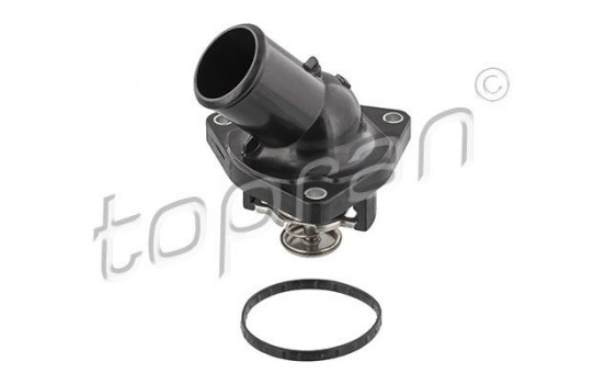 Thermostat, coolant