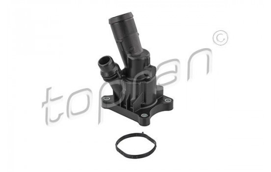 Thermostat, coolant