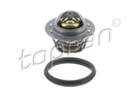 Thermostat, coolant