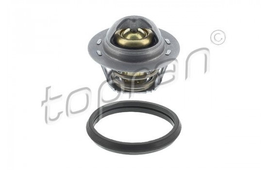 Thermostat, coolant