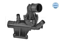 Thermostat, coolant