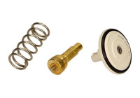 Thermostat, coolant