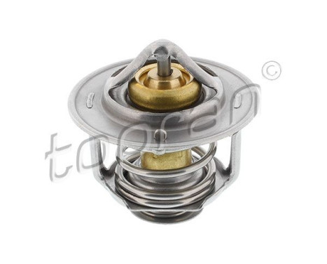 Thermostat, coolant