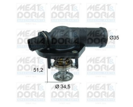 Thermostat, coolant