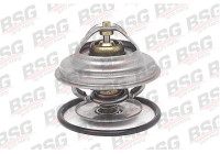 Thermostat, coolant
