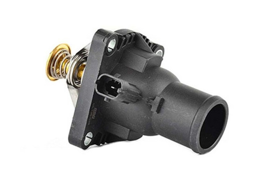 Thermostat, coolant