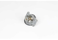 Thermostat, coolant