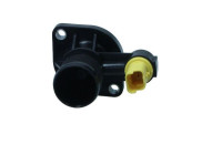 Thermostat, coolant