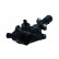 Thermostat, coolant