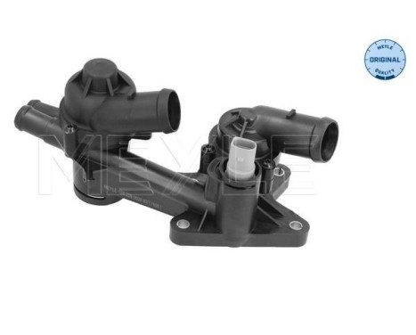 Thermostat, coolant