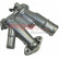 Thermostat, coolant