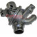 Thermostat, coolant