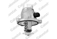 Thermostat, coolant