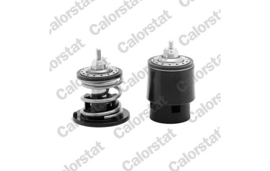 Thermostat, coolant