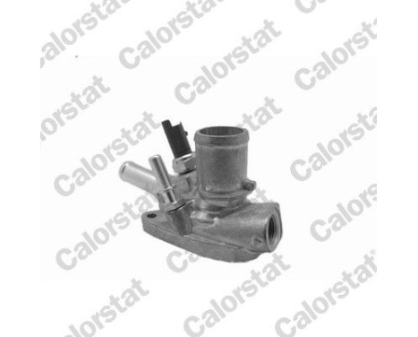 Thermostat, coolant