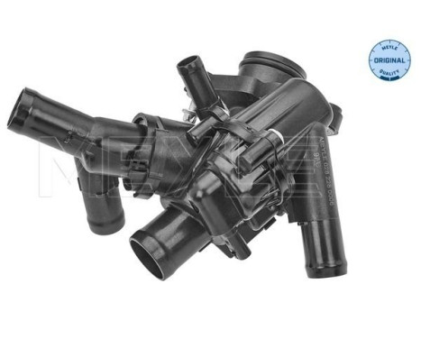 Thermostat, coolant