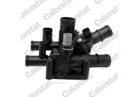 Thermostat, coolant