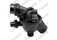 Thermostat, coolant