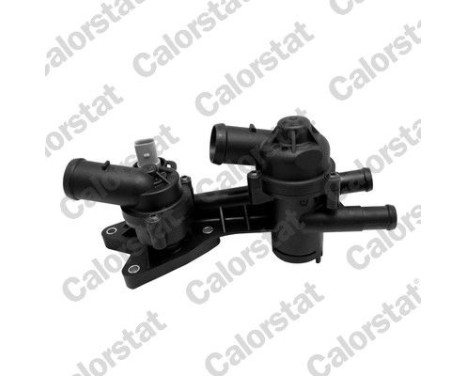 Thermostat, coolant