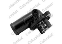 Thermostat, coolant