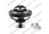 Thermostat, coolant