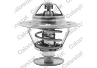 Thermostat, coolant