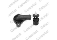 Thermostat, coolant