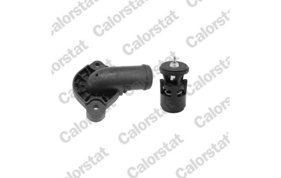 Thermostat, coolant