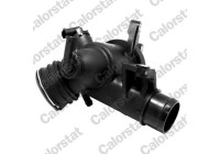 Thermostat, coolant
