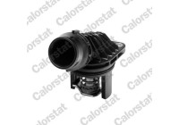 Thermostat, coolant