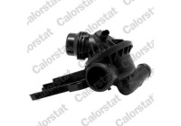 Thermostat, coolant