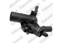 Thermostat, coolant